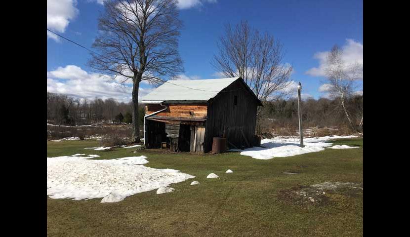Shed