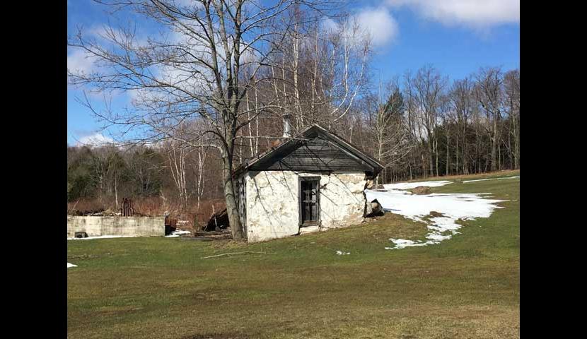 Shed