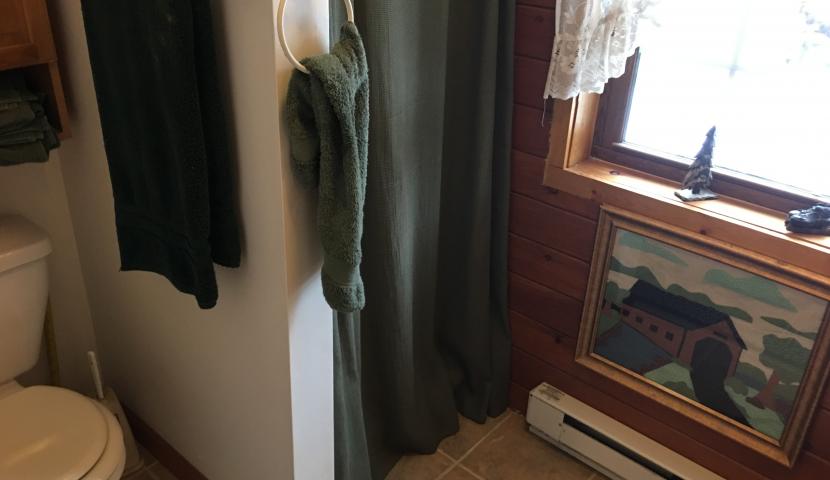 Master Bath